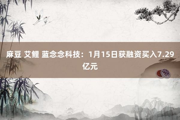 麻豆 艾鲤 蓝念念科技：1月15日获融资买入7.29亿元