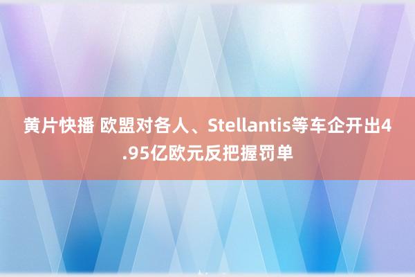黄片快播 欧盟对各人、Stellantis等车企开出4.95亿欧元反把握罚单