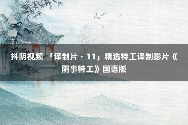 抖阴视频 「译制片 - 11」精选特工译制影片《阴事特工》国语版